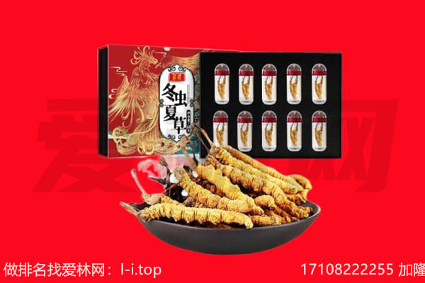 鞍山市台安回收虫草.jpg